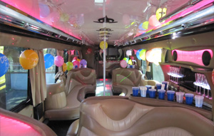 Los Angeles Party Bus 40-45 passenger